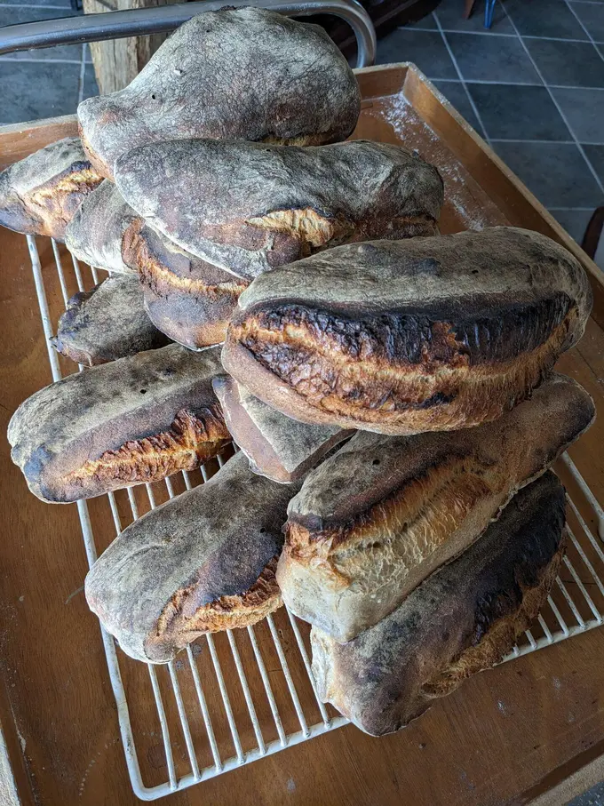 Pains de campagne maison, tout juste sortis du four à bois